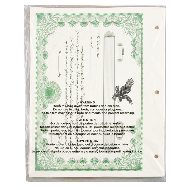 ExhibitindexesÂ® Corporate Stock Certificate - Made in The USA - Image 5